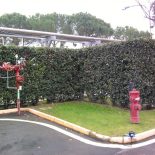 Sprinkler